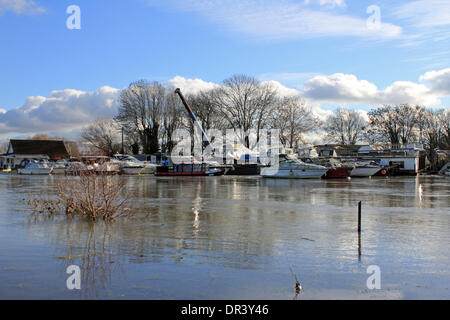 Chertsey, Surrey, England, UK. 19. Januar 2014. Die Thames Path ist noch unter Wasser in einem Gebiet in der Nähe von Chertsey Brücke namens Dumsey Wiese, die Teil der Themse Flussaue ist untergetaucht. Über den Fluss, die Boote in Chertsey Meads Marina vor Anker liegen. Nach den außergewöhnlichen Ebenen Niederschläge in ganz Großbritannien ist der Themse seine Banken vielerorts verursacht mehrere Straßensperrungen in Surrey einschließlich Chertsey-Brücke, die für 10 Tage geschlossen war geplatzt. Bildnachweis: Julia Gavin/Alamy Live-Nachrichten Stockfoto