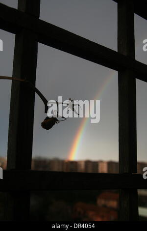 Rom, Italien. 19. Januar 2014 Regenbogen erscheint nach Sturm in Rom Italien Credit: Gari Wyn Williams/Alamy Live News Stockfoto