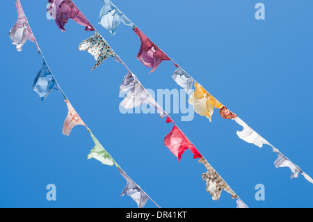 Eine Gruppe von farbigen t-Shirts auf einer Wäscheleine Stockfoto