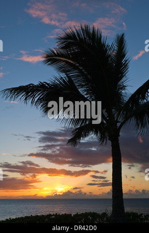 Sonnenuntergang und Palmen Bäume über dem Pazifischen Ozean, Paradise Cove, Kapolei, Oahu, Hawaii Stockfoto