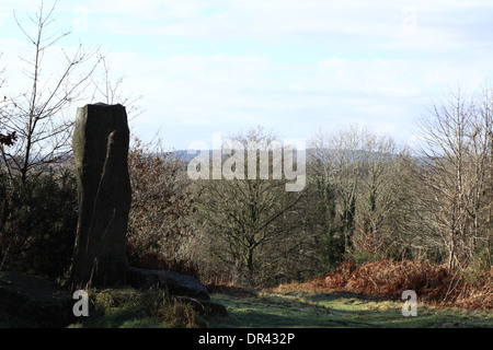 Ein stehender Stein auf Clearwell Meend im Wald von Dean Gloucestershire, England. Stockfoto