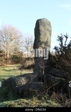 Ein stehender Stein auf Clearwell Meend im Wald von Dean Gloucestershire, England. Stockfoto