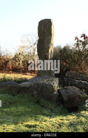 Ein stehender Stein auf Clearwell Meend im Wald von Dean Gloucestershire, England. Stockfoto