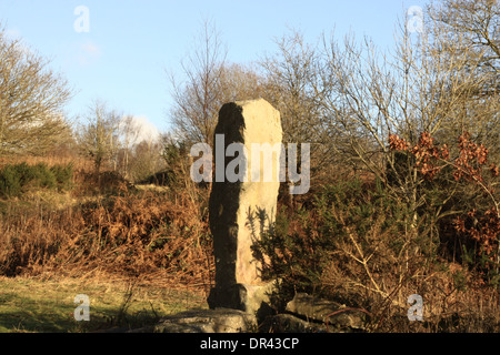 Ein stehender Stein auf Clearwell Meend im Wald von Dean Gloucestershire, England. Stockfoto