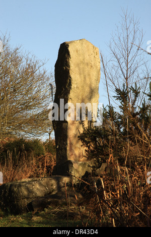 Ein stehender Stein auf Clearwell Meend im Wald von Dean Gloucestershire, England. Stockfoto