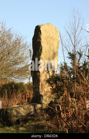 Ein stehender Stein auf Clearwell Meend im Wald von Dean Gloucestershire, England. Stockfoto