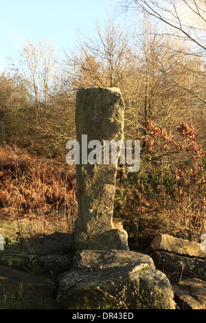 Ein stehender Stein auf Clearwell Meend im Wald von Dean Gloucestershire, England. Stockfoto