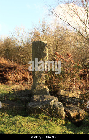 Ein stehender Stein auf Clearwell Meend im Wald von Dean Gloucestershire, England. Stockfoto