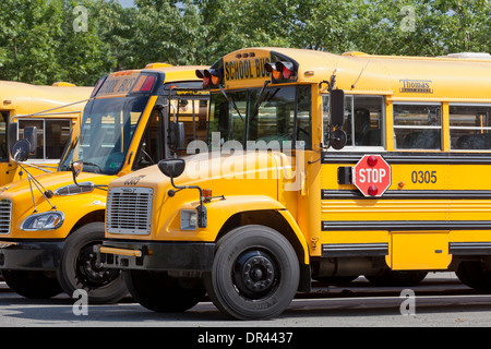 Parkte uns Schulbusse - Pennsylvania USA Stockfoto