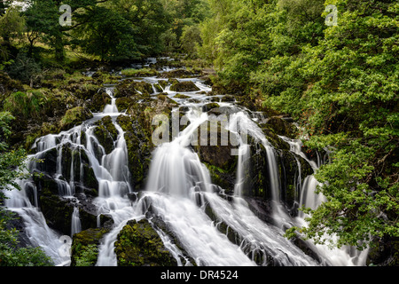 Blick auf die Schwalbe fällt auf Afon Llugwy in der Nähe von Betws-y-Coed Wales. Stockfoto