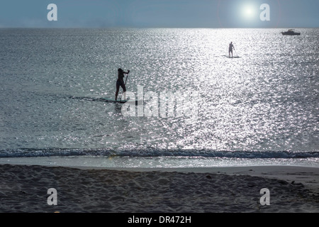 Zwei Personen, ein Mann und eine Frau, Verwendung Stand-up-Paddle-Boards am späten Abend aus St. Croix, Amerikanische Jungferninseln. Stockfoto