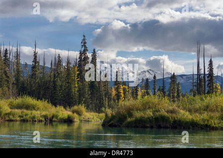 Bäume fallen und schneebedeckte Berge von Mitchell River, Cariboo Chilcotin Region, Britisch-Kolumbien Stockfoto