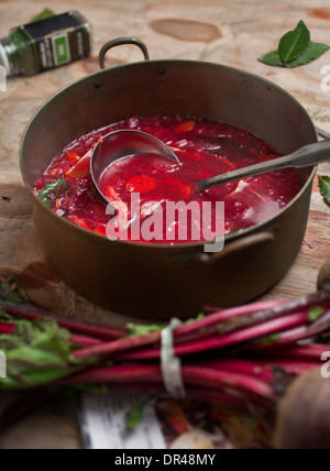 Borschtsch-Suppe Stockfoto