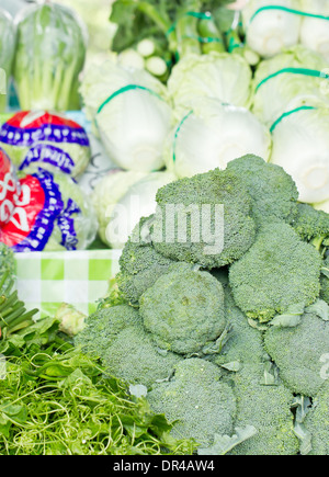 Verschiedene Gemüse im Markt wie Brokkoli, Ivy Kürbis und Chinakohl. Stockfoto