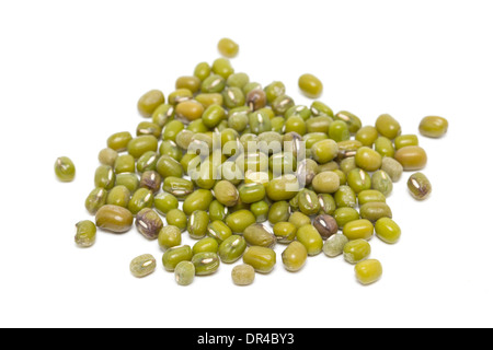 Mung Bohnen isoliert auf weiss. Stockfoto