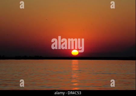 Sonnenuntergang im Lake Manyara National Park Stockfoto