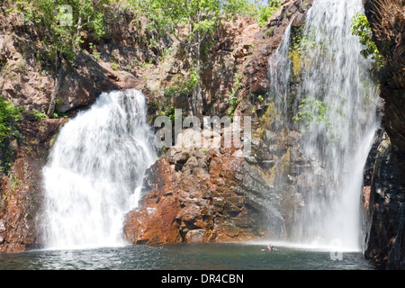 Florenz fällt und Tauchbecken im Litchfield Nationalpark, northern Territory, Australien Stockfoto