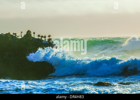 Wellen, die auf Klippen, Bodega Bay, Kalifornien, Vereinigte Staaten von Amerika Stockfoto