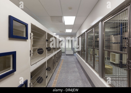 Metalltüren leeren Käfigen im Tierheim Stockfoto