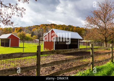 Scheune auf ländlichen Bauernhof, Fairport, New York, Vereinigte Staaten von Amerika Stockfoto