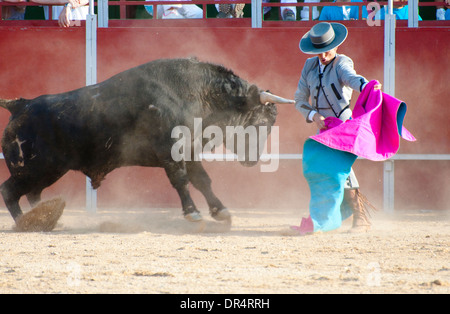 Fighting Bull Bild aus Spanien. Schwarzen Stier Stockfoto