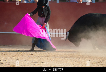 Fighting Bull Bild aus Spanien. Schwarzen Stier Stockfoto