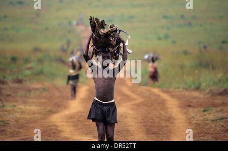 Brennholz im großen Maßstab in Afrika hat große Auswirkungen auf die Umwelt auf das Klima ändern Stockfoto