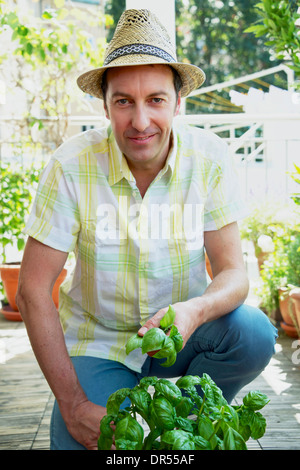 Mann auf Balkon In Händen hält, Basilikum Stockfoto