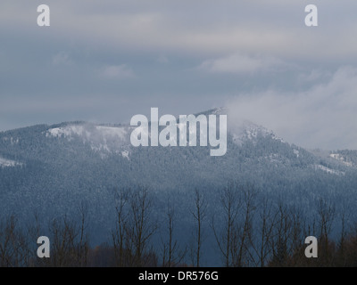 Osser Berg mit Schnee im Winter, Bayerischer Wald, Deutschland Stockfoto