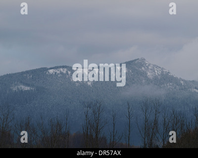 Osser Berg mit Schnee im Winter, Bayerischer Wald, Deutschland Stockfoto