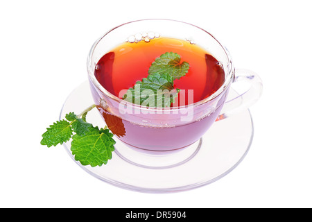 Minz-Tee mit Minze in eine Glasschale isoliert auf weißem Hintergrund Stockfoto