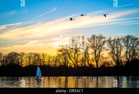 Fulham, London, UK. 19. Januar 2014. An einem ruhigen Abend segelt ein Boot auf der Themse in der Nähe von Fulham, nach Wochen des starken Regens geschwollen. Bildnachweis: Joanne Roberts/Alamy Live-Nachrichten Stockfoto