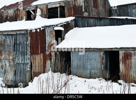 Schnee, der eine alte und rostende Wellblechscheune auf einem Bauernhof im Winter in Großbritannien bedeckt Stockfoto