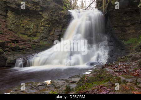 Hareshaw Linn in der Nähe von Bellingham Northumberland England UK Stockfoto