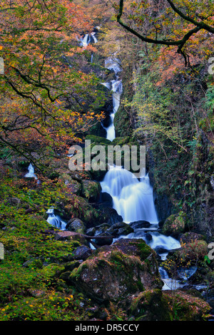 Lodore verliebt sich in Borrowdale, Cumbria, England Stockfoto