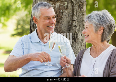 Gerne älteres Paar, toasten Sektgläser im park Stockfoto