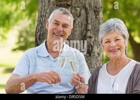 Porträt von glücklich älteres Paar, toasten, Champagner im park Stockfoto