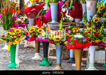 Trauben von Blumen auf dem Display auf dem Blumenmarkt in der Breslauer Platz Salzmarkt oder Plac Solny. Stockfoto