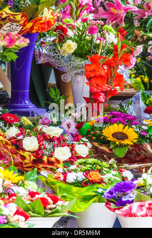 Trauben von Blumen auf dem Display auf dem Blumenmarkt in der Breslauer Platz Salzmarkt oder Plac Solny. Stockfoto