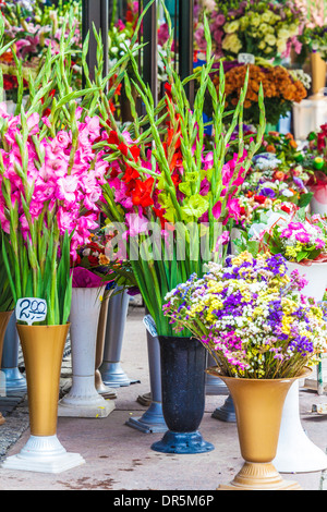 Trauben von Blumen auf dem Display auf dem Blumenmarkt in der Breslauer Platz Salzmarkt oder Plac Solny. Stockfoto