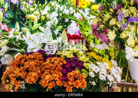 Trauben von Blumen auf dem Display auf dem Blumenmarkt in der Breslauer Platz Salzmarkt oder Plac Solny. Stockfoto