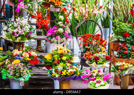 Trauben von Blumen auf dem Display auf dem Blumenmarkt in der Breslauer Platz Salzmarkt oder Plac Solny. Stockfoto