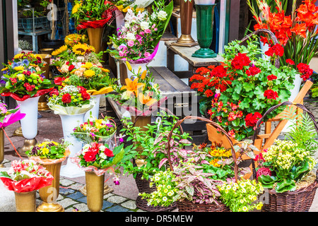 Trauben von Blumen auf dem Display auf dem Blumenmarkt in der Breslauer Platz Salzmarkt oder Plac Solny. Stockfoto