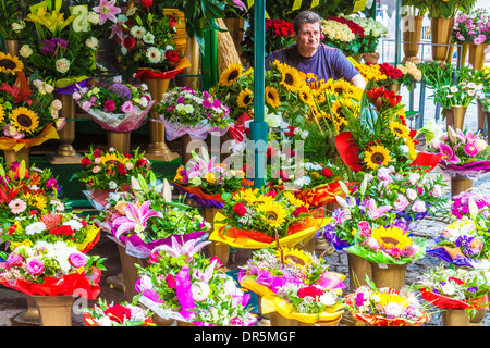 Ein Stall auf dem Blumenmarkt in der Breslauer Platz Salzmarkt oder Plac Solny. Stockfoto