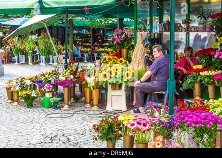 Der Blumenmarkt in der Breslauer Salzplatz Markt oder Plac Solny. Stockfoto