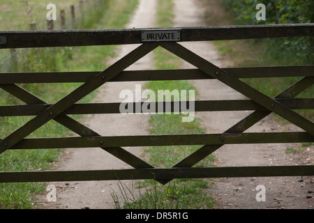 Feld-Tor. Holz. Holz. Norfolk. England. VEREINIGTES KÖNIGREICH. Stockfoto