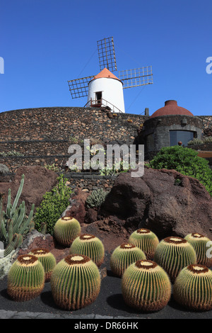 Echinocactus Grusonii, Gofio-Mühle, Kaktus Garten Jardín de Cactus in Guatiza, Lanzarote, Kanarische Inseln, Kanaren, Spanien Stockfoto