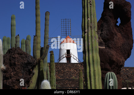 Gofio-Mühle, Kaktus Garten Jardín de Cactus in Guatiza, Lanzarote, Kanarische Inseln, Kanaren, Spanien Stockfoto