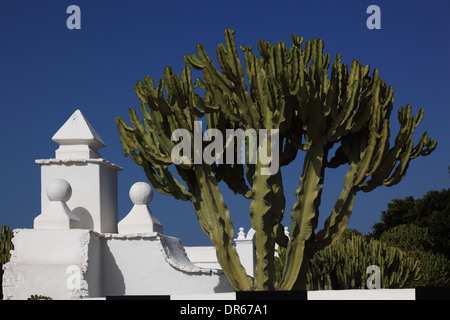 Fundación César Manrique Stiftung César Manrique, im ehemaligen Wohnhaus des Künstlers in Tahiche, Lanzarote, Kanarische Inseln, cana Stockfoto