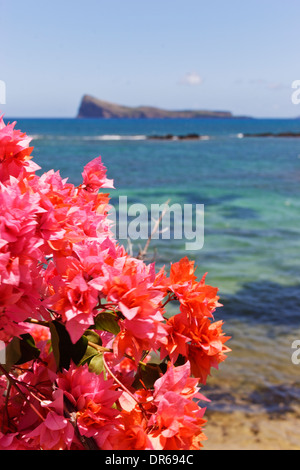 Coin de Mire Insel vor der Küste von Cap Malheureux gesehen, Mauritius. Stockfoto